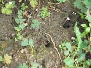 DSC00237.JPG