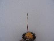 DSC00281.JPG
