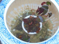 DSC00456.JPG