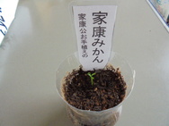 DSC00514.JPG