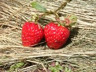 平成29年5月8日