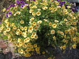 DSC00503.JPG