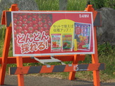 DSC00513.JPG