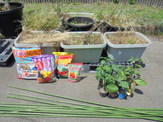 DSC00524.JPG