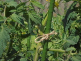 DSC00626.JPG