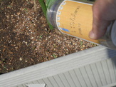 DSC00640.JPG