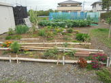 DSC00663.JPG