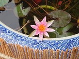 DSC_0318-1264x948.JPG