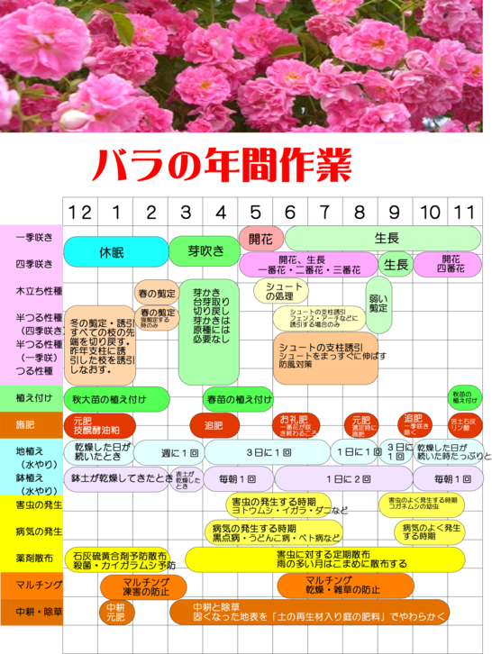 バラの年間作業.png バラの年間作業.png