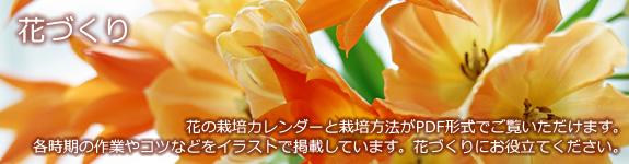 はな作り はな作り