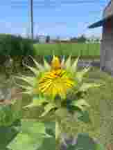 IMG_6421.jpg