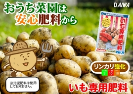 260909おうち菜園は安心肥料から　いも専用肥料　POP.jpg