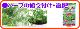 ４月の園芸作業  ハーブの植え付け.png