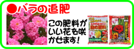４月の園芸作業  バラの追肥.png