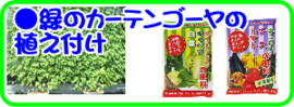 5月ゴーヤの植え付け.png