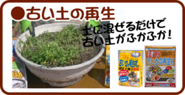 5月の園芸作業　古い土の再生.png