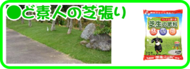 5月の園芸作業  ど素人の芝張り.png