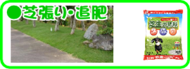 ６月の園芸作業　芝張.追肥.png