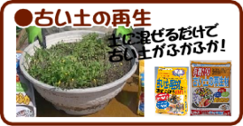 ６月の園芸作業古い土再生.png