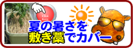 敷き藁１.png