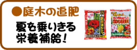 ６月の園芸作業　庭木の追肥.png