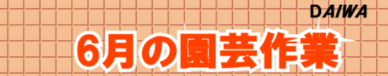 ６月の園芸作業 タイトル.png