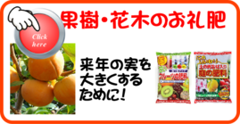 １１月の果樹花木のお礼肥.png