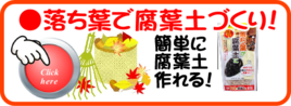 １１月　落ち葉で腐葉土づくり.png