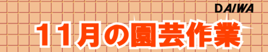 １１月　園芸作業　タイトル.png
