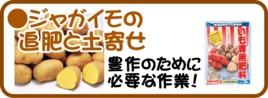 3月の園芸作業　ジャガイモの追肥と土寄せ.png