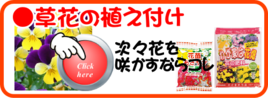 ２月　草花の植え付け.png