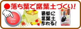 ２月　落ち葉を腐葉土にcvx.png
