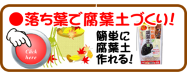 １月　落ち葉で腐葉土づくり.png