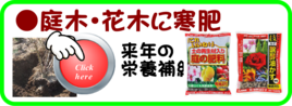 １月　庭木花木に寒肥.png