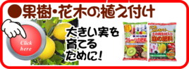 １月果樹花木の植え付け.png