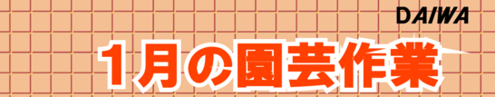 １月の園芸作業タイトル.png