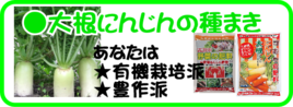 １０月の園芸作業大根にんじん.png