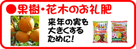 １０月の園芸作業果樹花木.png