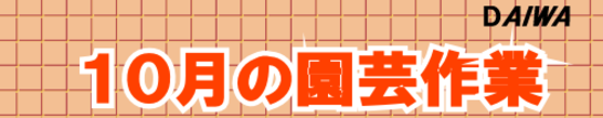 １０月の園芸作業タイトル.png