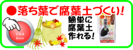 １２月　落ち葉を腐葉土に.png
