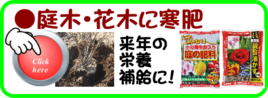 １２月果樹花木の寒肥.png