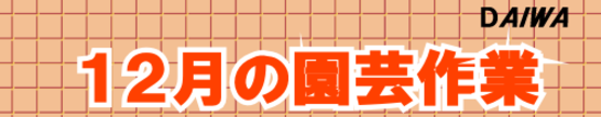 １２月の園芸作業　タイトル.png