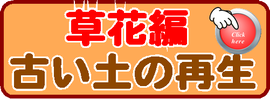 有機100古い土の再生材　使い方　花編↓