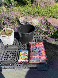 IMG_3495.jpg