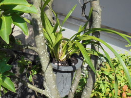 DSC00274.JPG