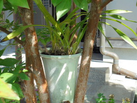 DSC00275.JPG