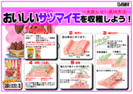 さつまいもの育て方○.png