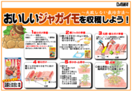 じゃがいもの育て方○.png