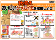 じゃがいもの育て方　（秋）.png