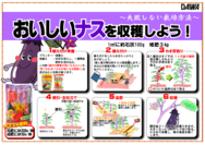 なすの育て方○.png